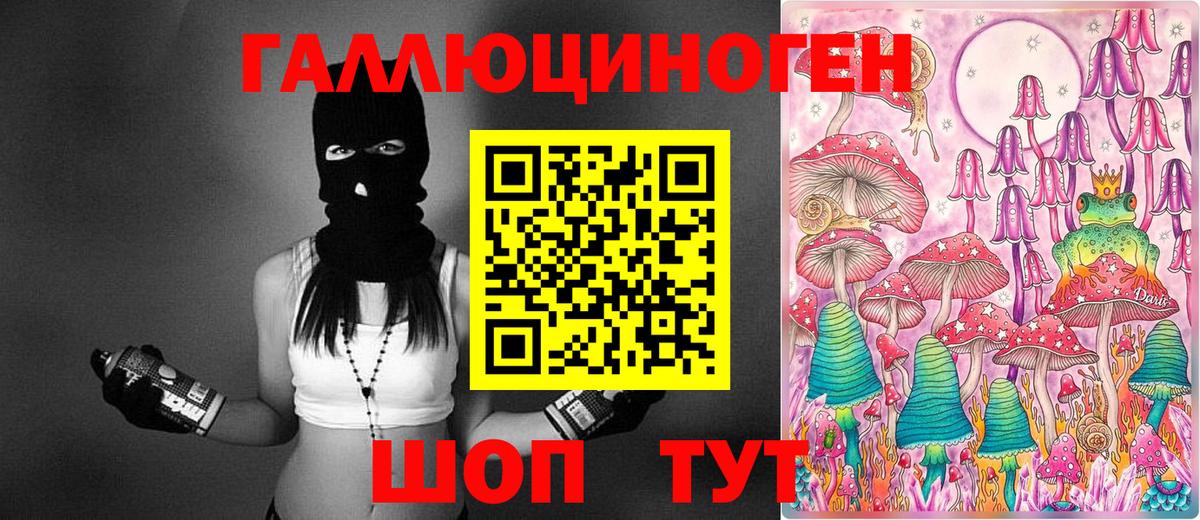 Елизово  Псилоцибиновые грибы мухоморы  Вход с VPN 
